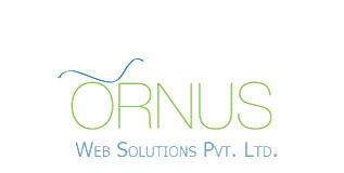 Ornus Web Solutions Pvt Ltd - Web Design and Website Development Services in India